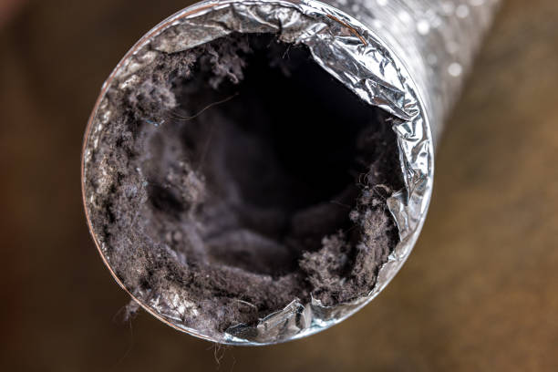 Best Home Air Vent Cleaning  in Lithia Springs, GA